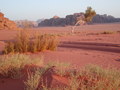 Poust Wadi Rum