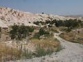 dscf5669.jpg